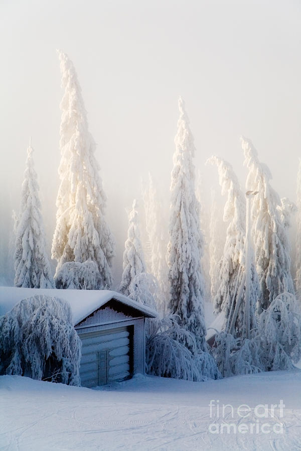 Cool Photograph - Winter scene #1 by Kati Finell
