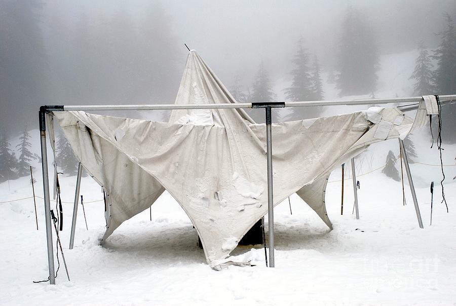Winter Sculpture Photograph by Bill Thomson