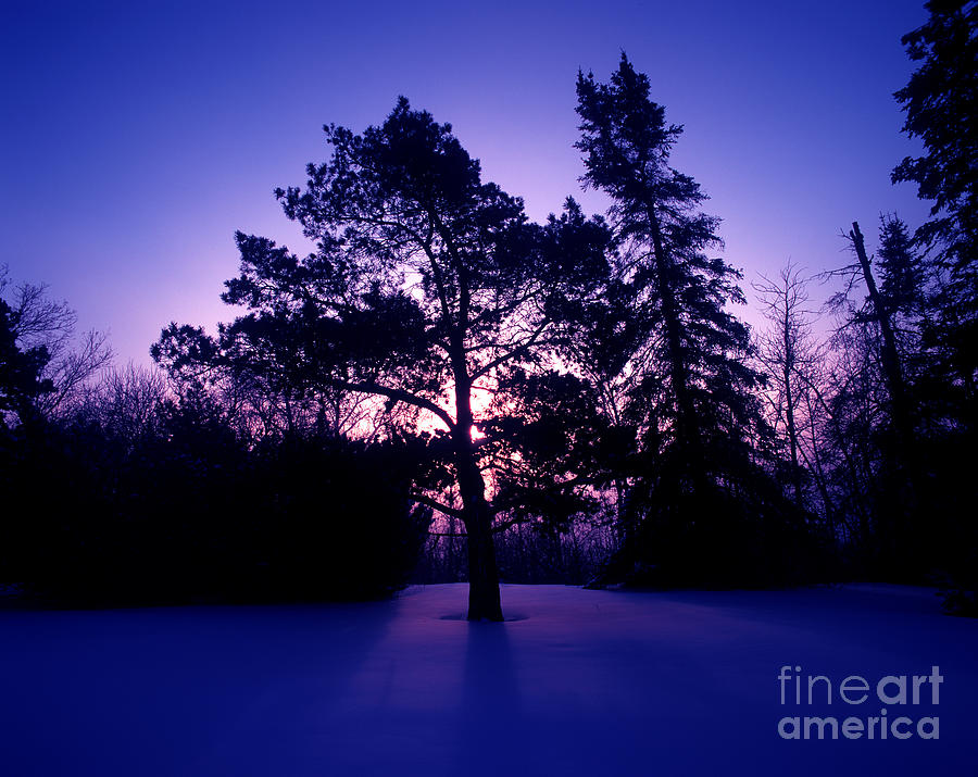 Winter Season 1 Photograph by Terry Elniski