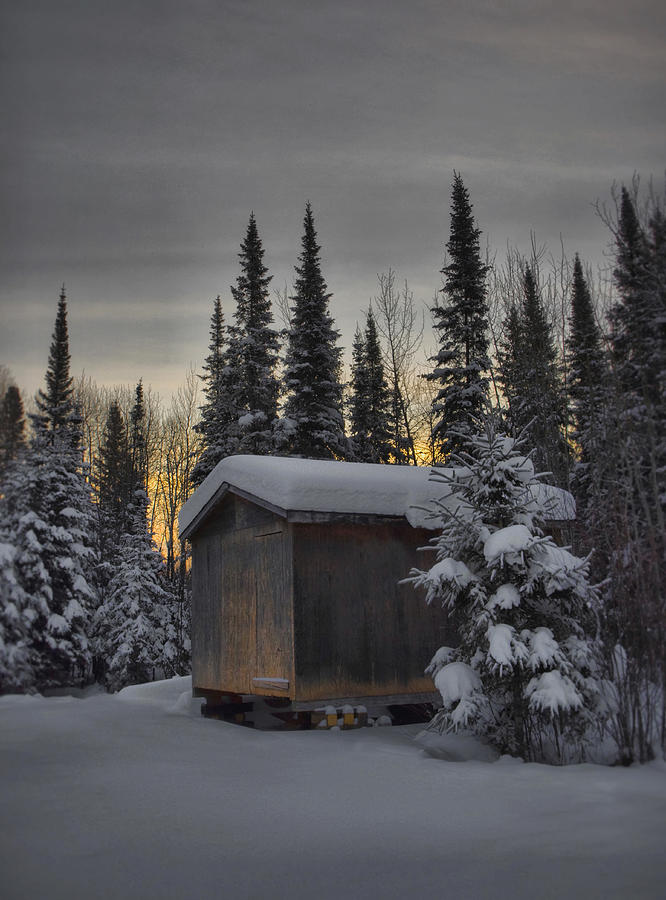 Winter Solitude Photograph