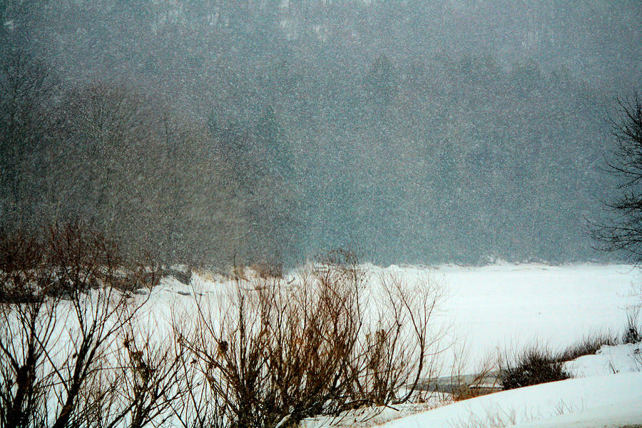 Winter Photograph - Winter Stream #1 by Darlene Bell