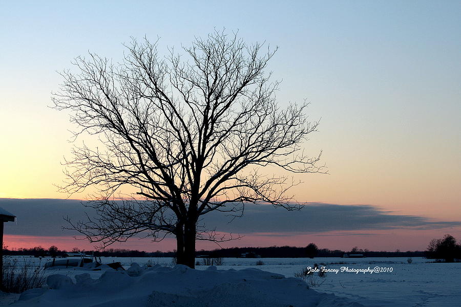 Winter Sunset #1 Photograph by Jale Fancey