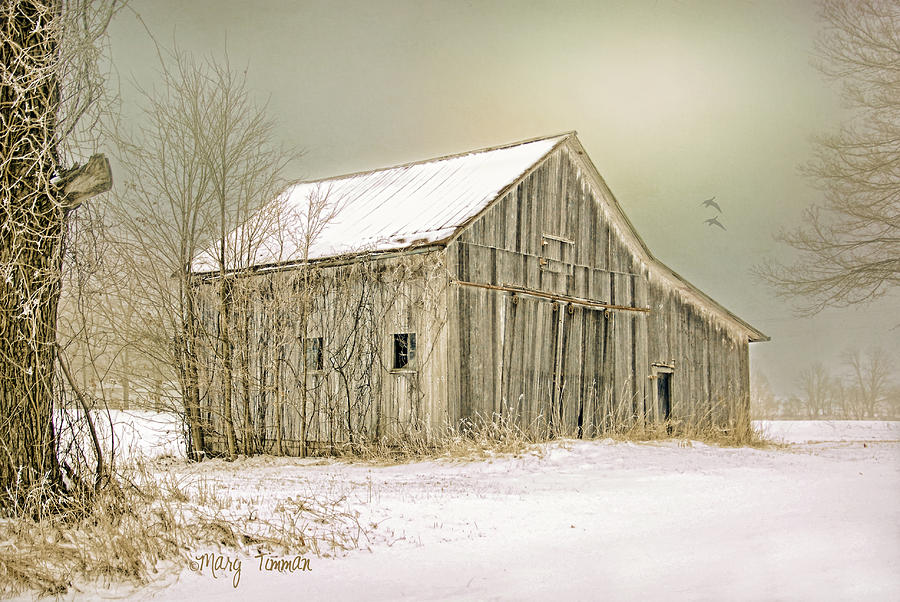 Winters Barn #1 Photograph by Mary Timman