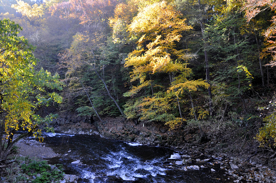 Wissahickon Creek #1 Photograph by Andrew Dinh