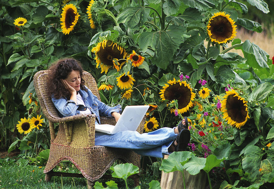Woman Uses Laptop Outdoors #1 Photograph by David Nunuk