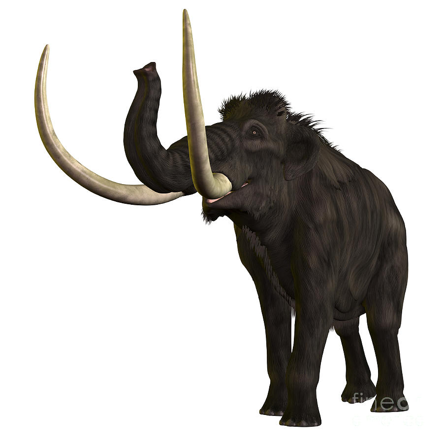 Woolly Mammoth Digital Art by Corey Ford