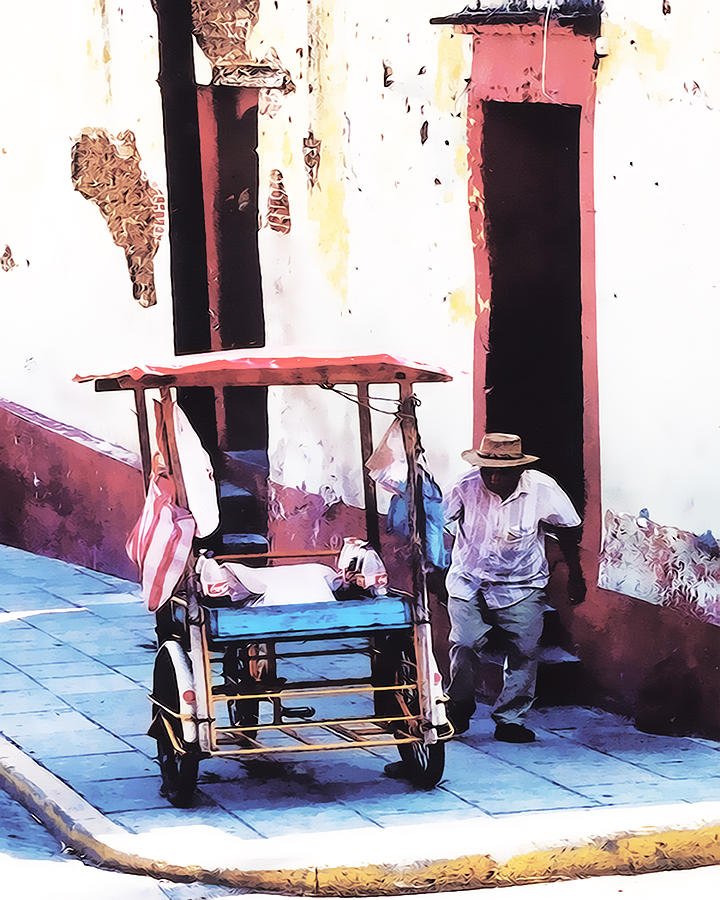 Working Oaxaca #1 Photograph by Terry Fiala