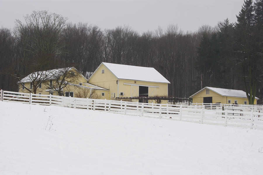 Yellow Barn in Winter #1 Photograph by Margie Avellino