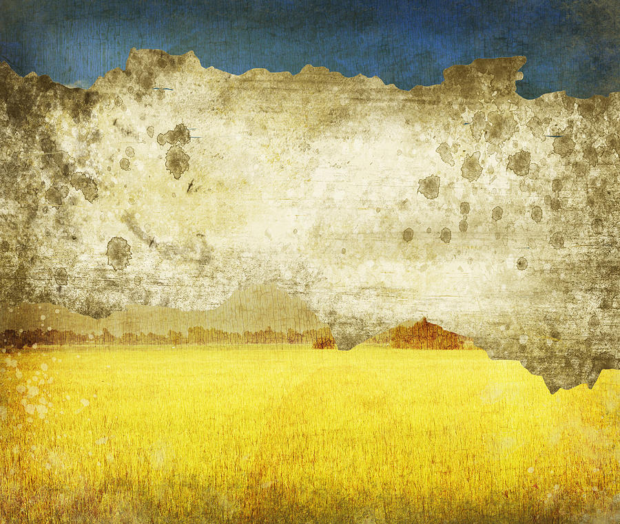 Yellow Field On Old Grunge Paper Photograph