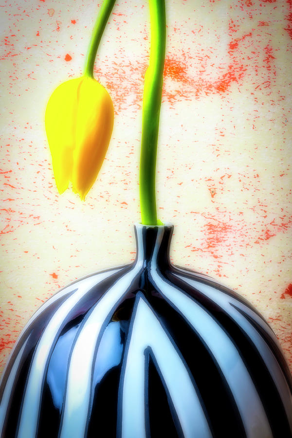 Yellow Tulip In Striped Vase #2 Photograph by Garry Gay