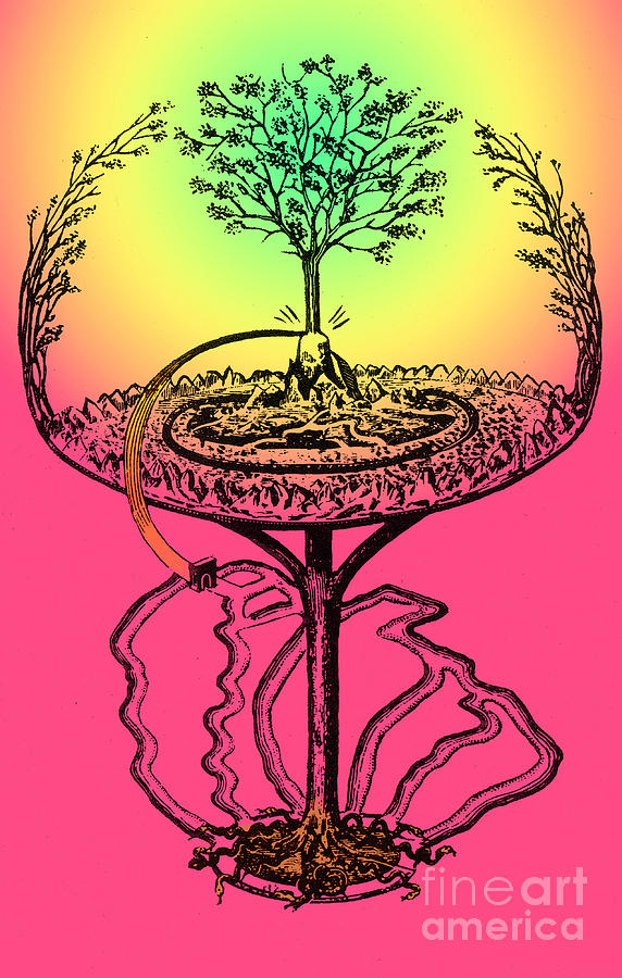 Yggdrasil From Norse Mythology #1 Photograph by Photo Researchers
