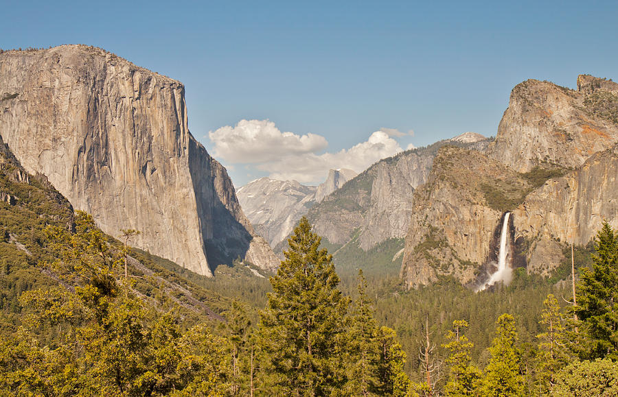 Yosemite Trio #1 Photograph by Pam  Holdsworth