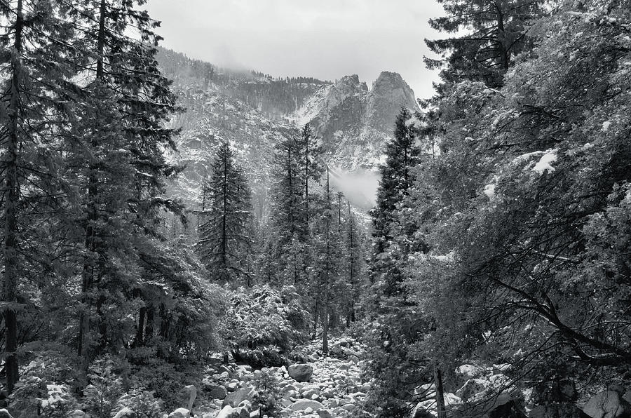 Yosemite Winter Photograph by Stephen Vecchiotti