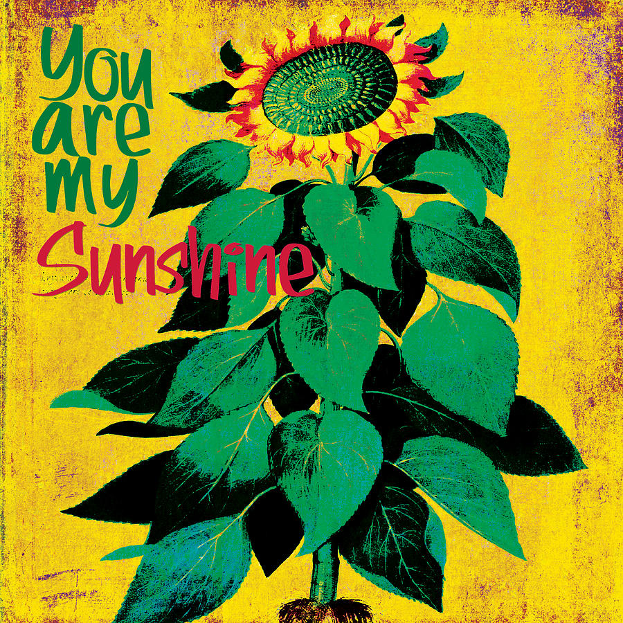 You Are My Sunshine #1 Digital Art by Bonnie Bruno
