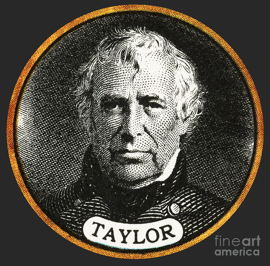 Zachary Taylor #1 Photograph by Photo Researchers