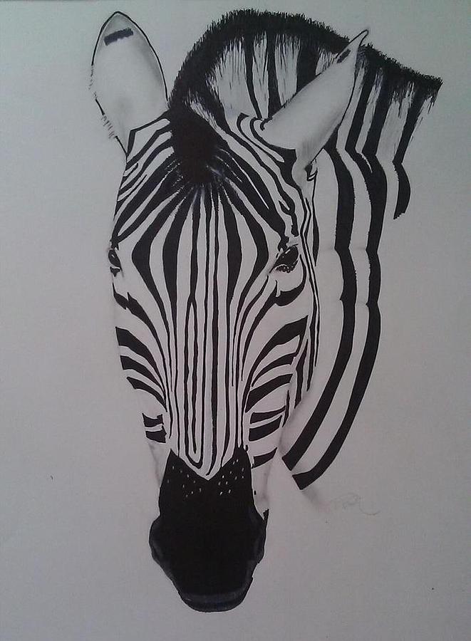 Zebra profile Drawing by Matthew Paris | Fine Art America