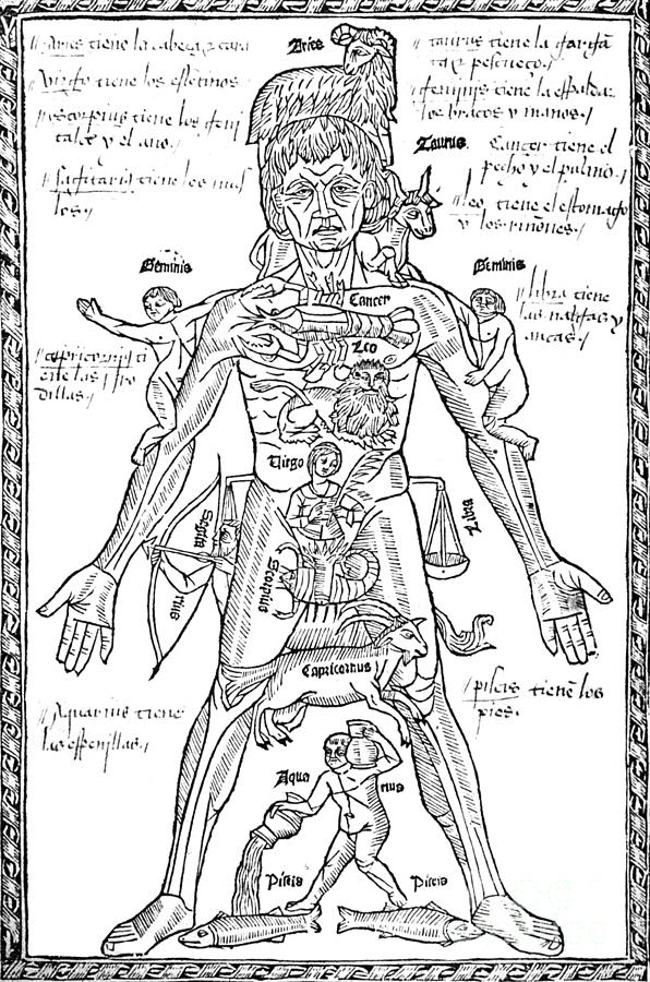 Zodiac Man, Medical Astrology #1  by Science Source