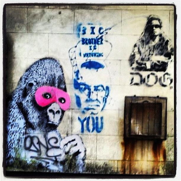 Gorilla Photograph - #bristolgraffiti #bristol #10 by Nigel Brown