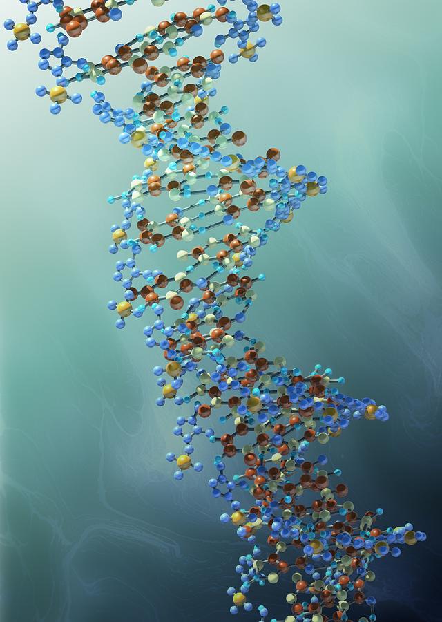 Dna Molecule, Artwork #10 Digital Art by Andrzej Wojcicki