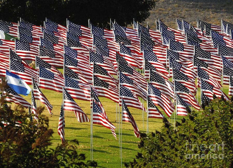 Flag Photograph - Flags #10 by Marc Bittan