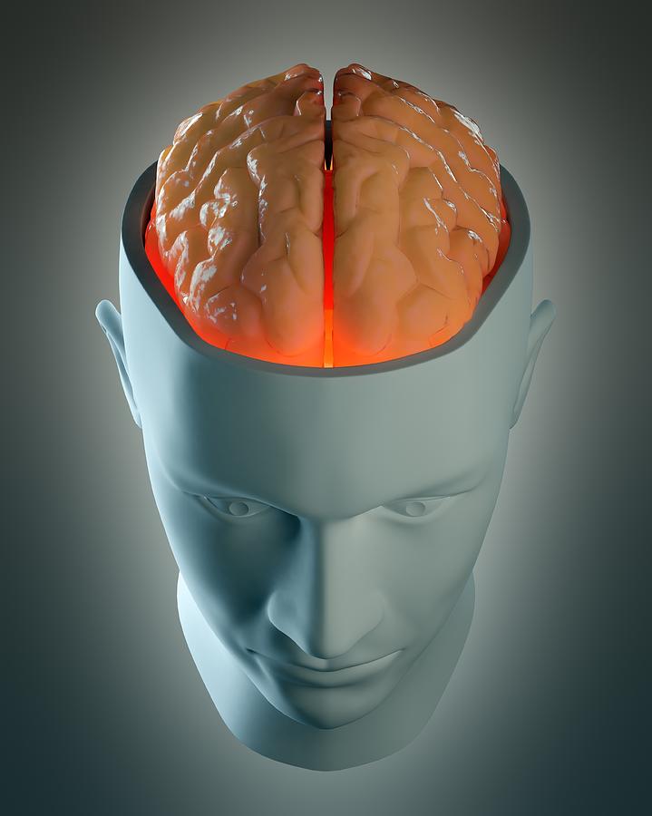 Human Brain, Artwork #10 Digital Art by Andrzej Wojcicki