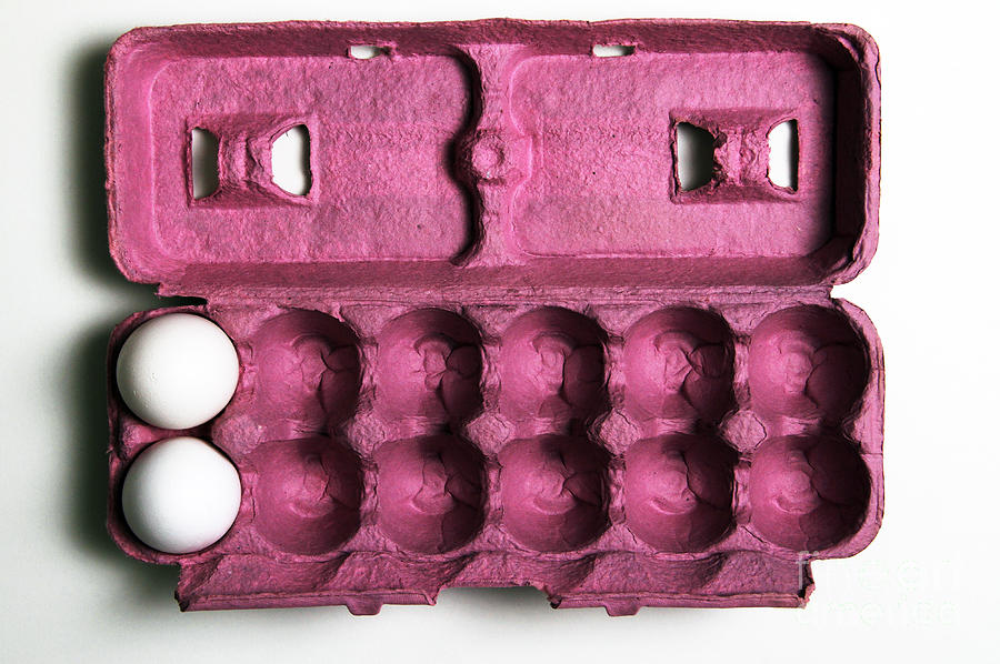 10 More Eggs Equals A Dozen Photograph by Photo Researchers, Inc.