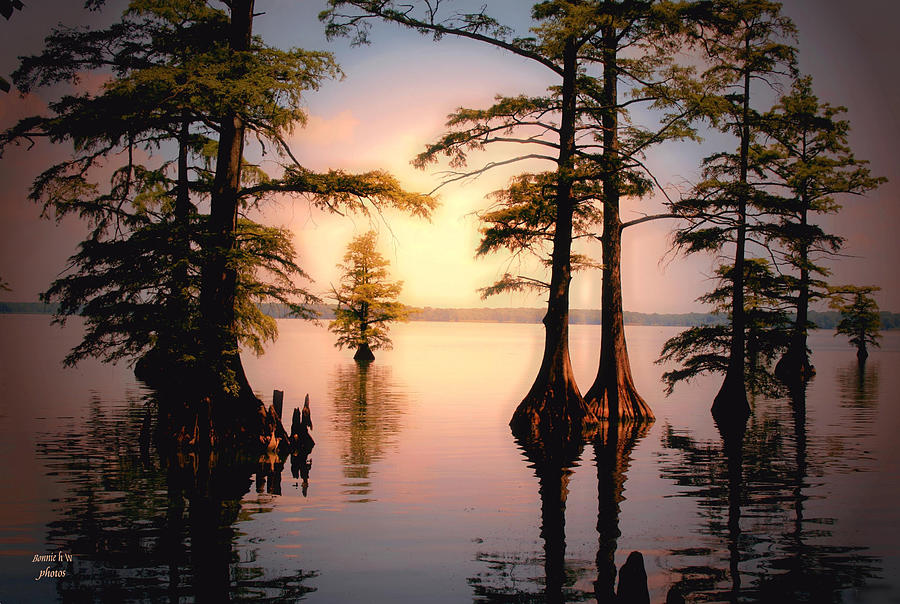 Reelfoot Lake #5 Photograph by Bonnie Willis