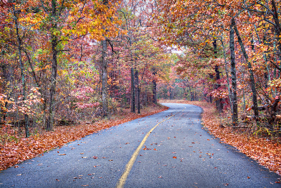 1010-4486 Petit Jean Autumn Highway Photograph by Randy Forrester
