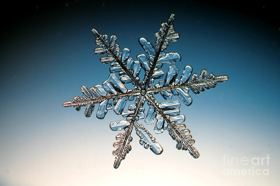 Snowflake #104 Photograph by Ted Kinsman