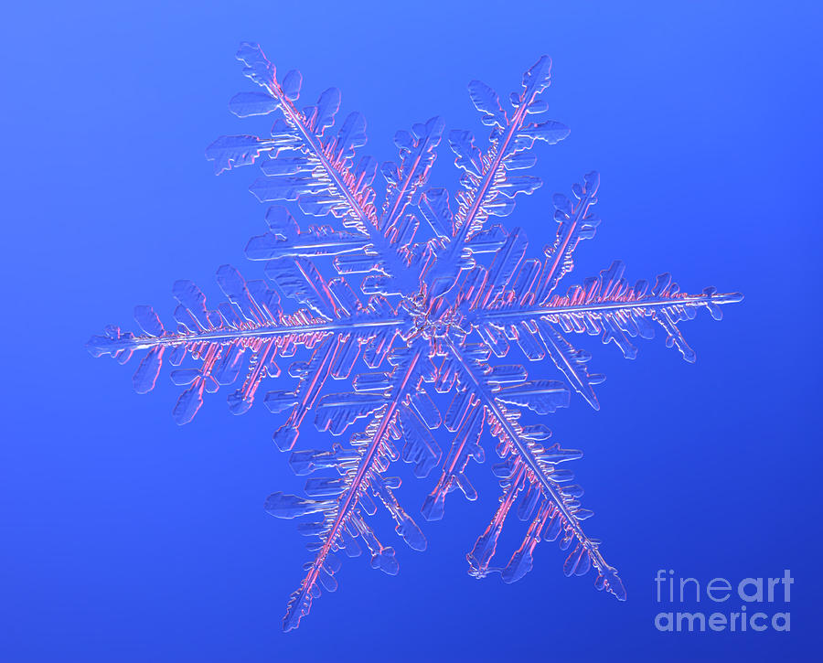 Winter Photograph - Snowflake #106 by Ted Kinsman