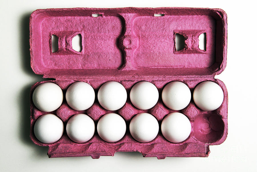 11 Eggs Photograph by Photo Researchers, Inc.