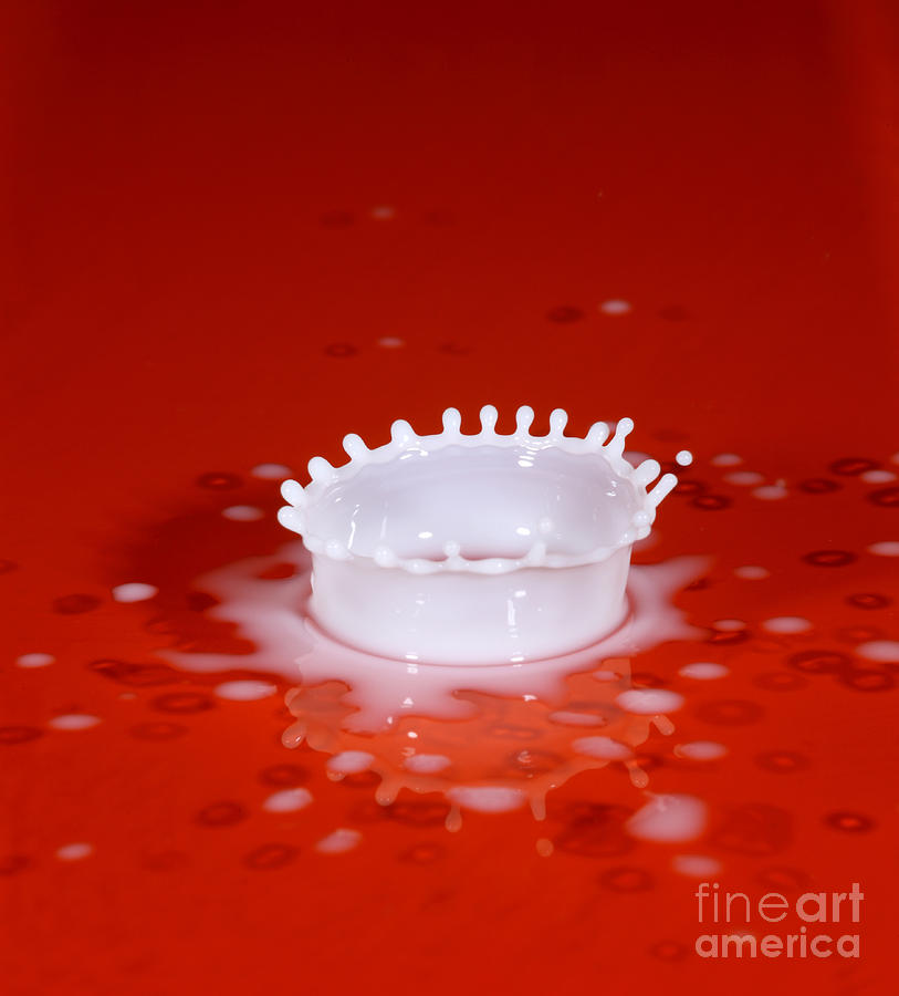Milk Splash #11 Photograph by Ted Kinsman