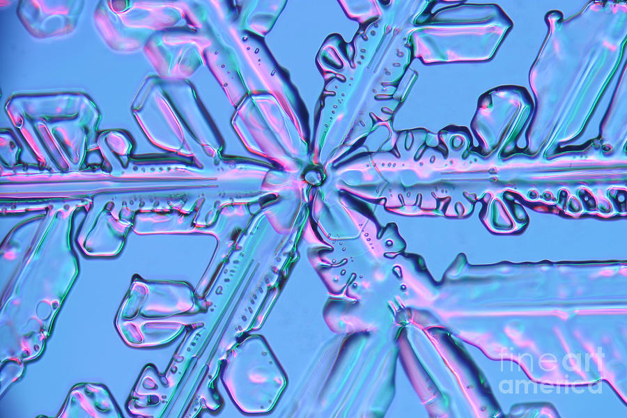 Snowflake #11 Photograph by Ted Kinsman