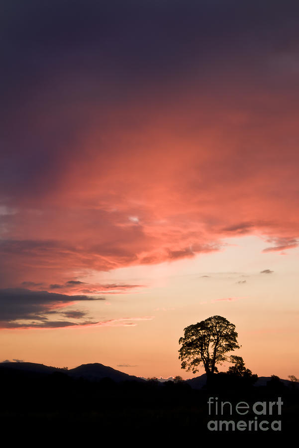 Sunset #11 Photograph by Ang El
