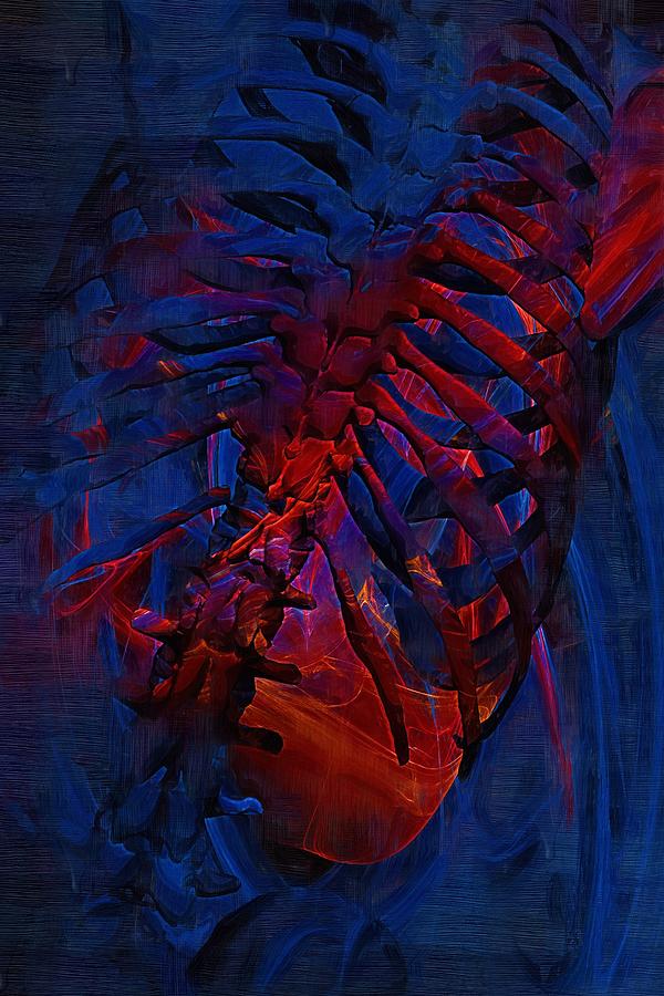 Skeleton Digital Art - Torso Skeleton #11 by Joseph Ventura