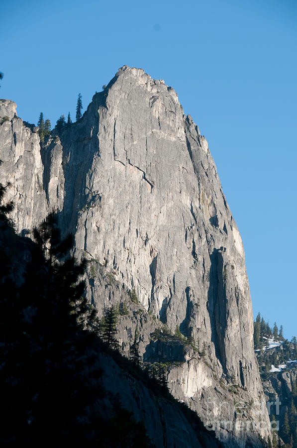 Yosemite #11 Digital Art by Carol Ailles