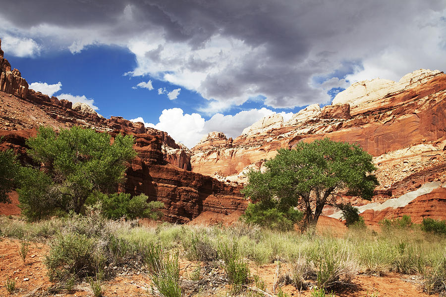 Capitol Reef National Park by Mark Smith