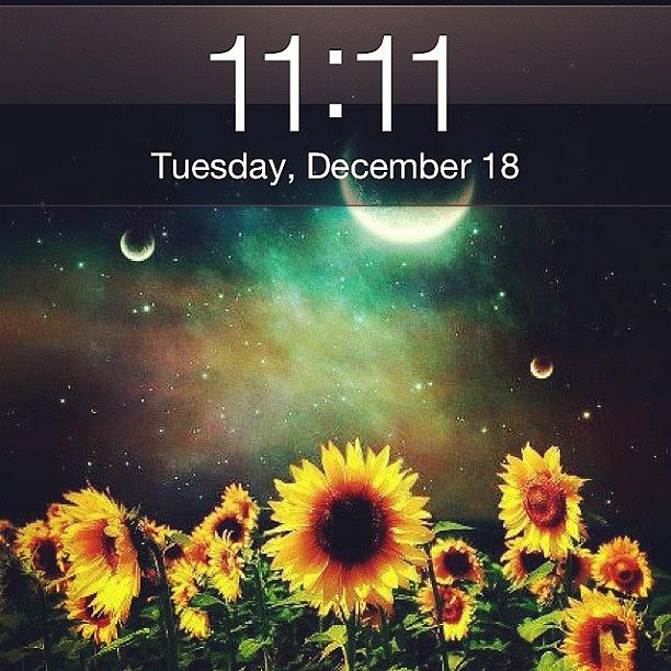 11:11 & I Wish For Peace On Earth Just #1111 Photograph by Cassandra Leigh