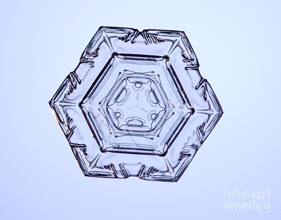 Snowflake #113 Photograph by Ted Kinsman