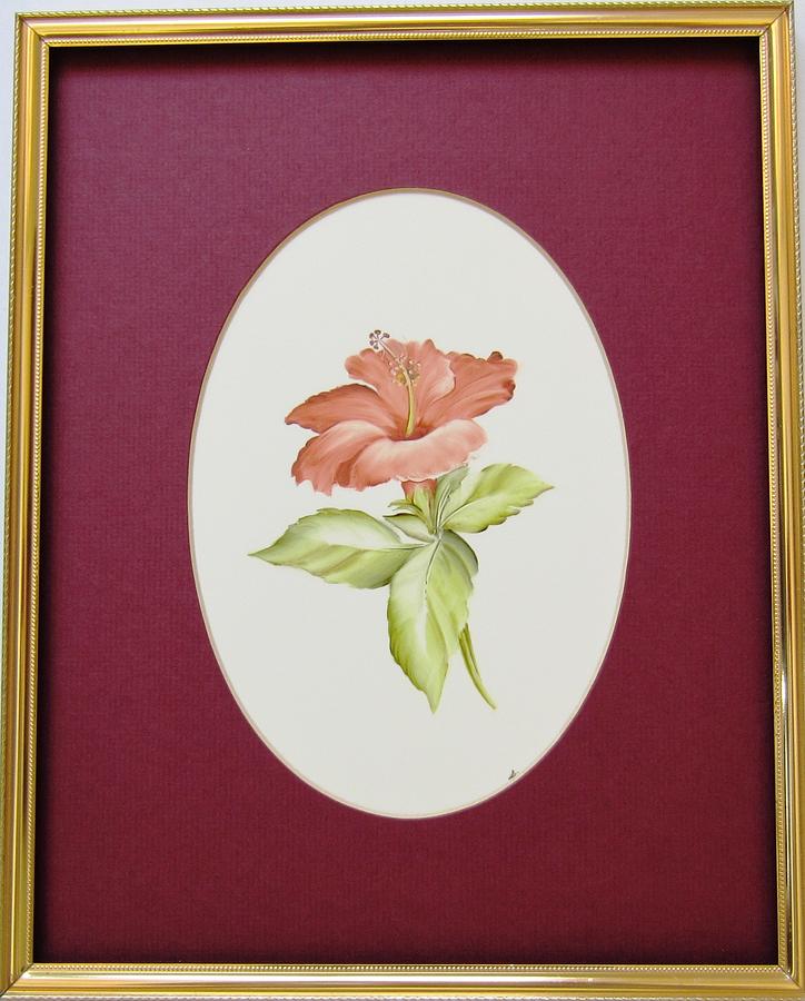 Porcelain Painting - 1139a Hibiscus framed by Wilma Manhardt
