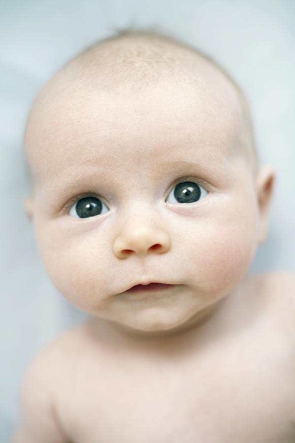 12-17 Months Photograph - Baby Boy #12 by Ian Boddy