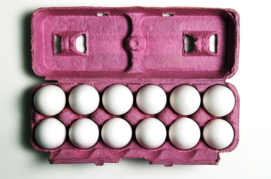 12 Eggs Photograph by Photo Researchers, Inc.