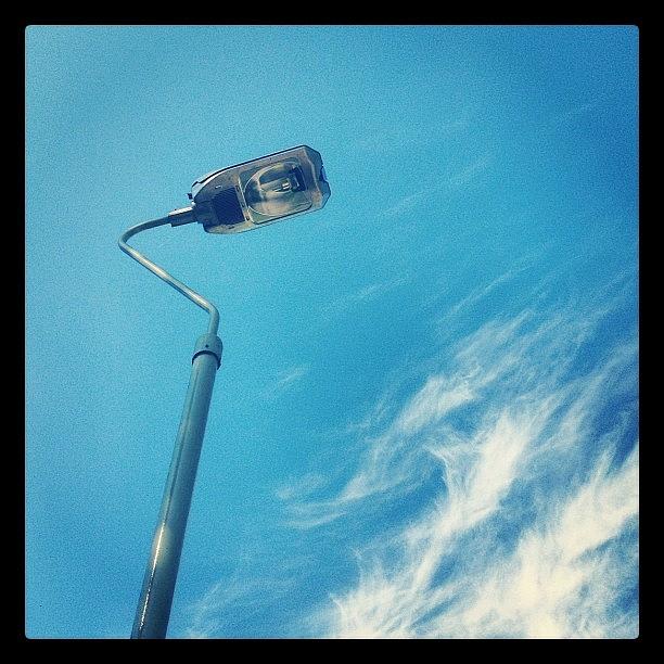 12. From A Low Angle #photoadayjune Photograph by Emma Hollands