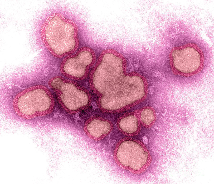 Influenza A Virus #12  by Science Source