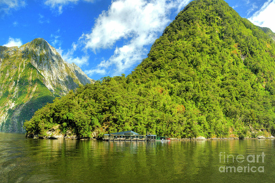 Milford Sound #12 Photograph by Marc Bittan