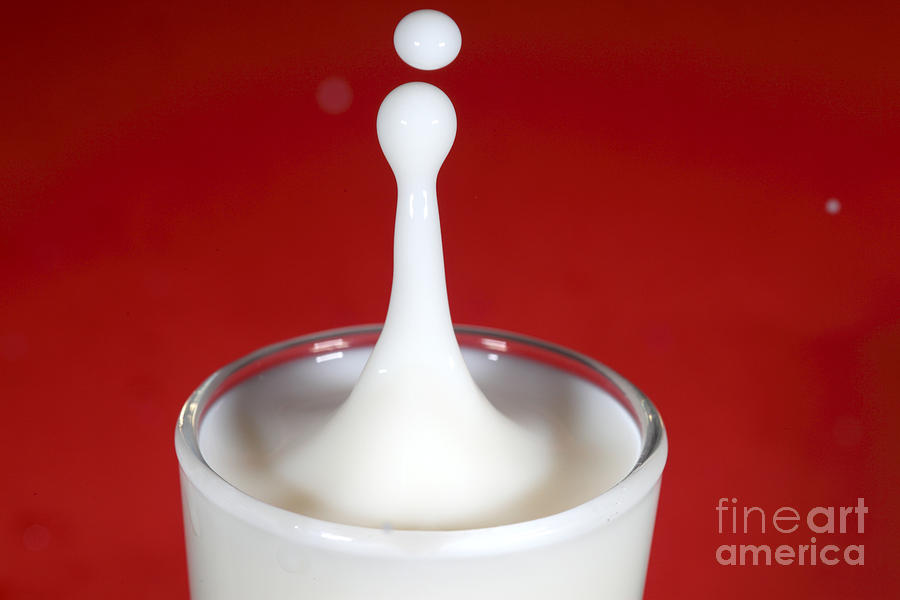 Milk Splash #12 Photograph by Ted Kinsman