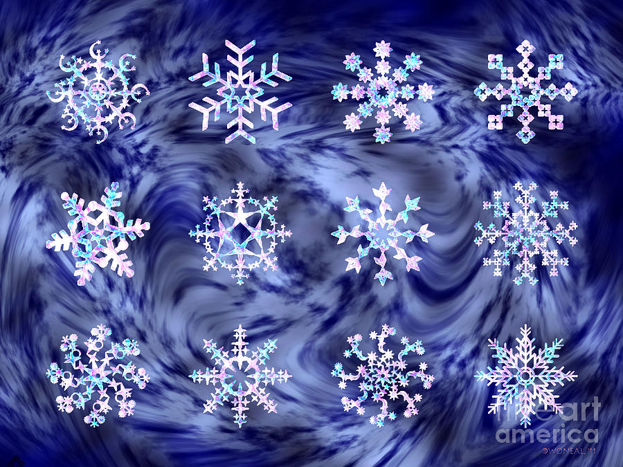 Christmas Digital Art - 12 Silver Snowflakes by Walter Neal