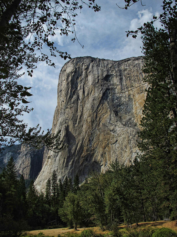 Yosemite National Park #12 Photograph by Helaine Cummins