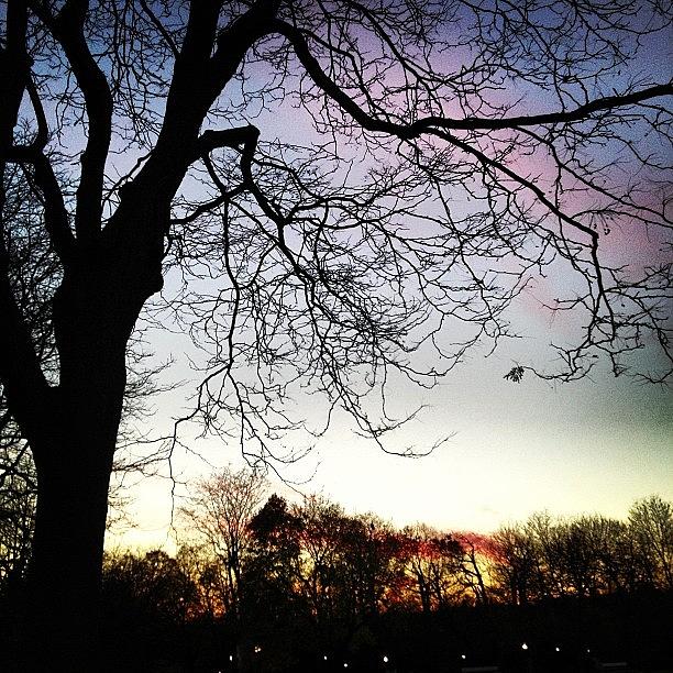 Sunset Photograph - Instagram Photo #121354611986 by Ilana Shamir