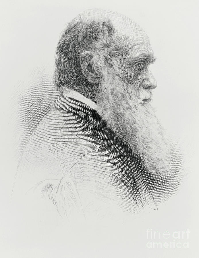Charles Robert Darwin, English #13 Photograph by Science Source